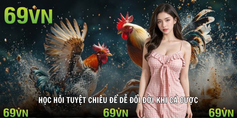 da ga cua sat tuyet chieu Học hỏi tuyệt chiêu để dễ đổi đời khi cá cược